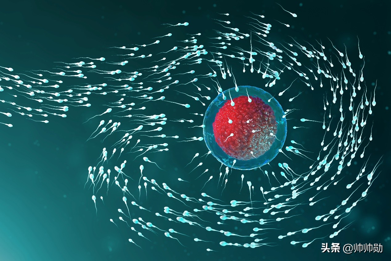 精子里有新冠病毒吗,精子中含有新冠吗