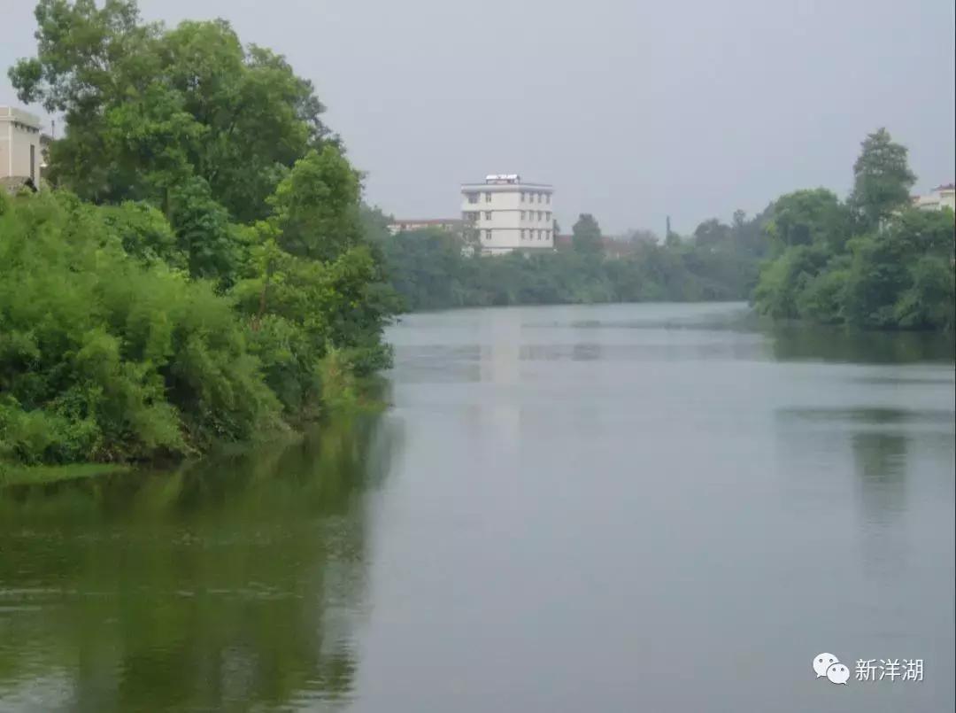 长沙洋湖发展历程,长沙洋湖湿地的历史