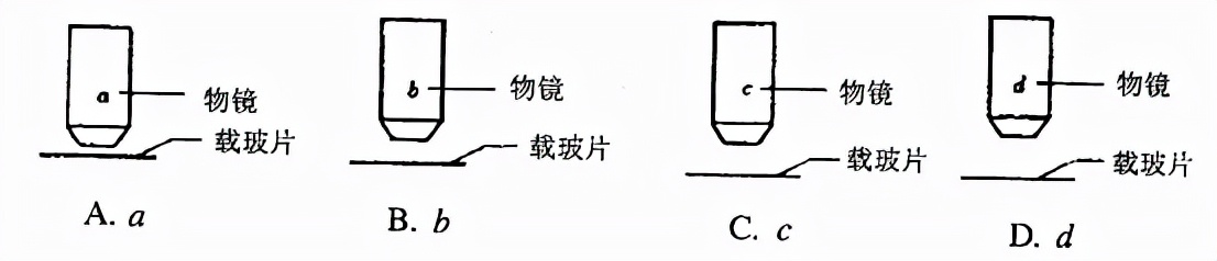 初中显微镜的使用方法和关注事项,显微镜使用的七大步骤