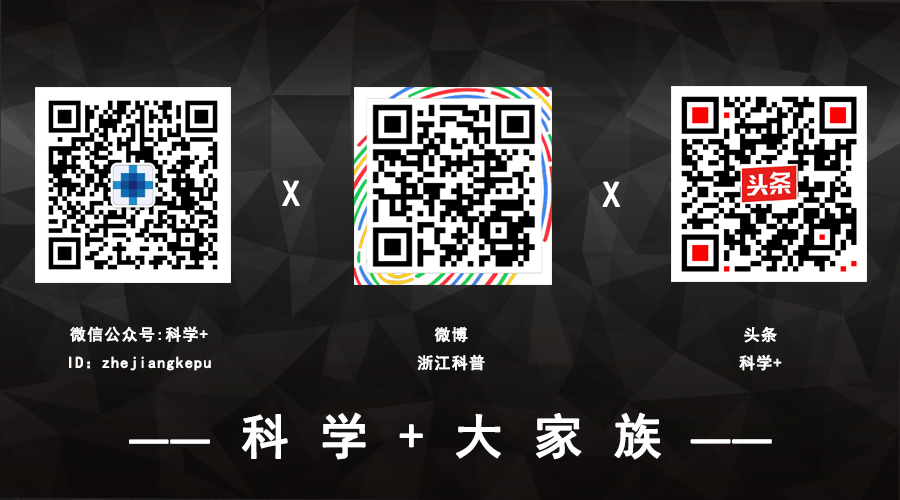 怀孕拍了x光还能要吗,怀孕拍x光还能要吗