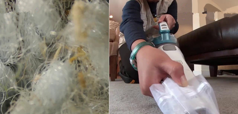 有没有可以祛除螨虫的产品,有没有什么除螨虫的用品