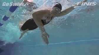 两分钟教会自由泳划水技巧,自由泳划水小技巧图解