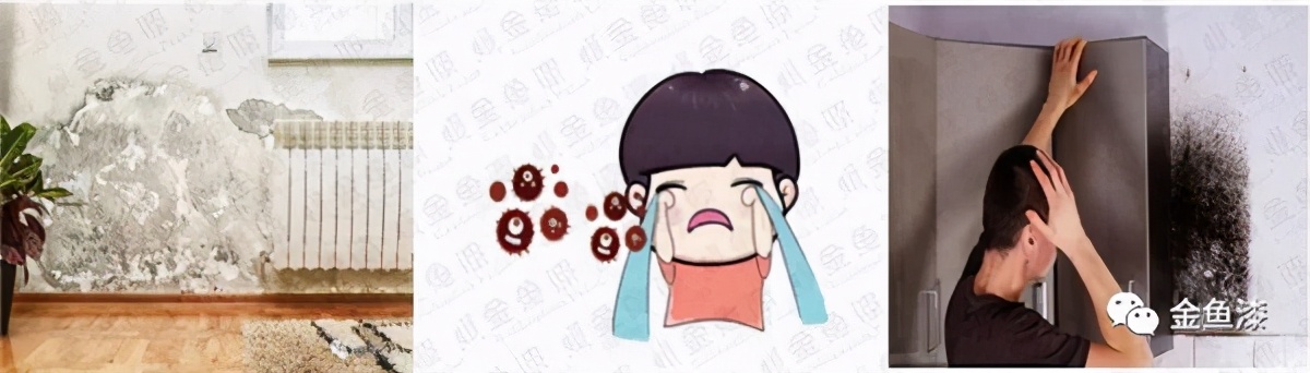 金鱼涂料介绍,金鱼漆外墙仿石漆