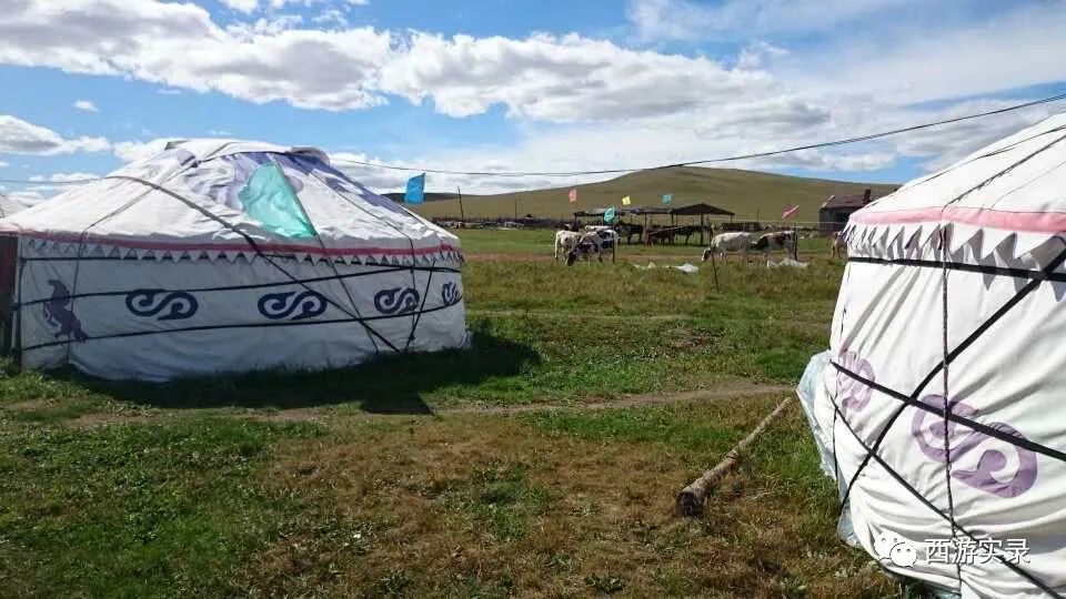 樊玉虎开锐际环游世界,樊玉虎流浪地球