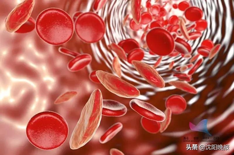 艾滋病真的有这么容易传染吗,艾滋病传染途径主要有哪三种