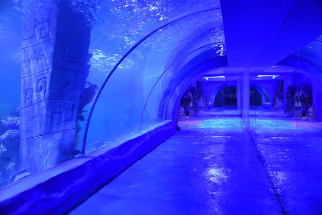 100个梦幻乐园,超2000平的梦幻王国游乐场