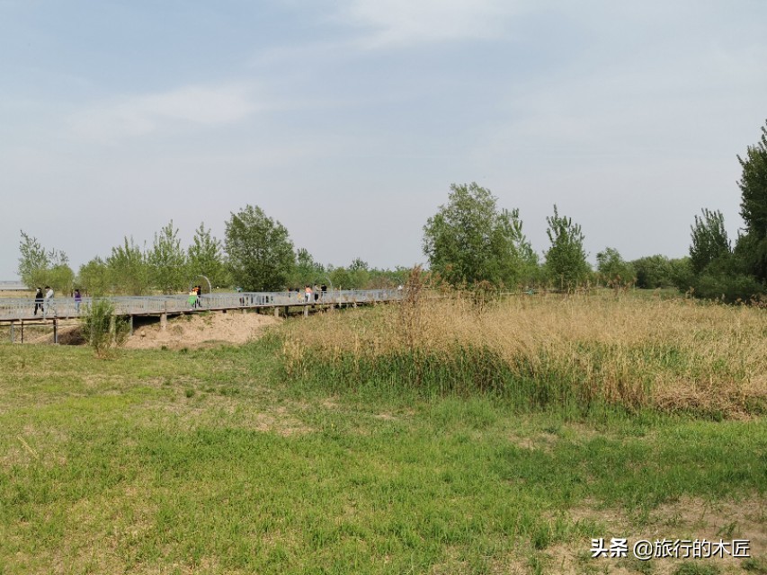 黄河湿地公园郑州要门票吗,郑州黄河湿地公园是否免费