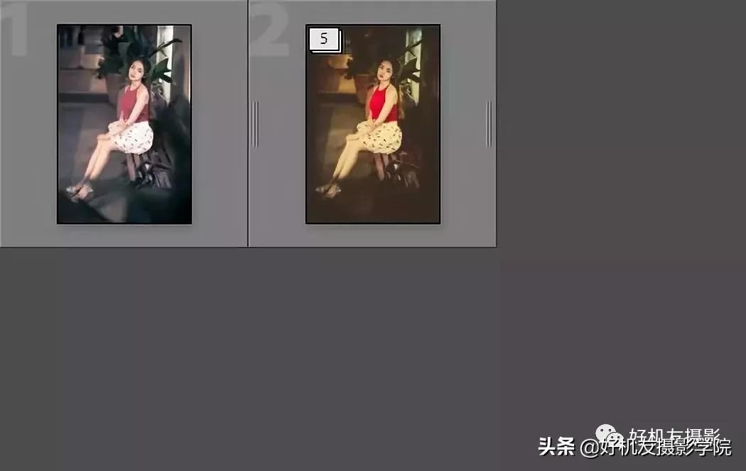 如何管理照片的技巧,照片太多了用什么软件整理