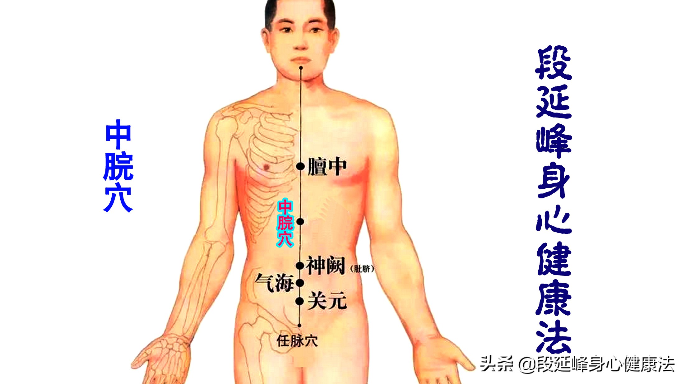 胃肠动力不够中药如何调理,胃肠功能紊乱胃动力不够怎么办