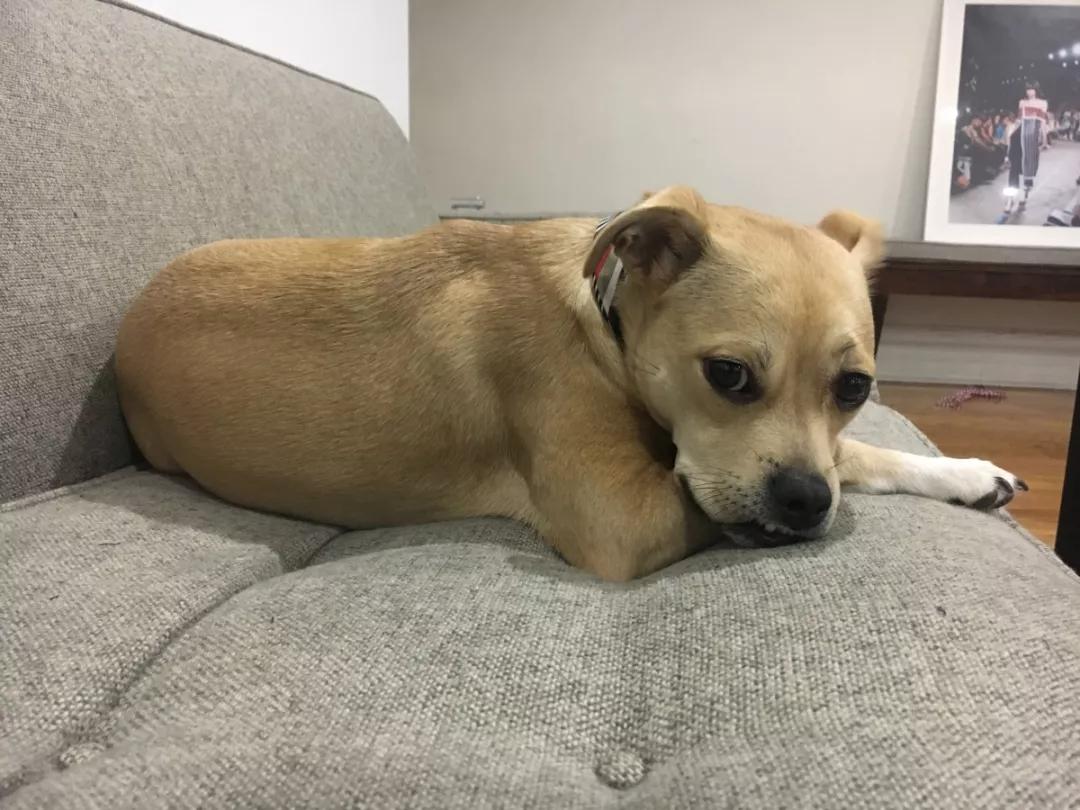 时尚|如何参加纽约时装周？纽约时装周的幕后真相