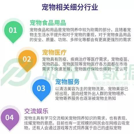 有一种幸福叫猫狗双全,猫狗双全的人生
