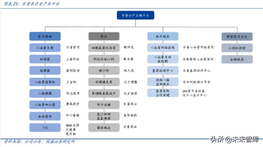 乐普医疗心血管专科医院,乐普医疗的战略