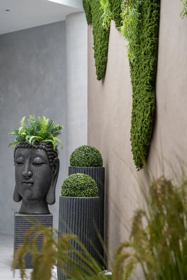 鑳″潎,鑳″潎鍒