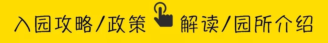 深圳罗湖幼儿园报名网上预约系统,罗湖比较容易进的公立幼儿园