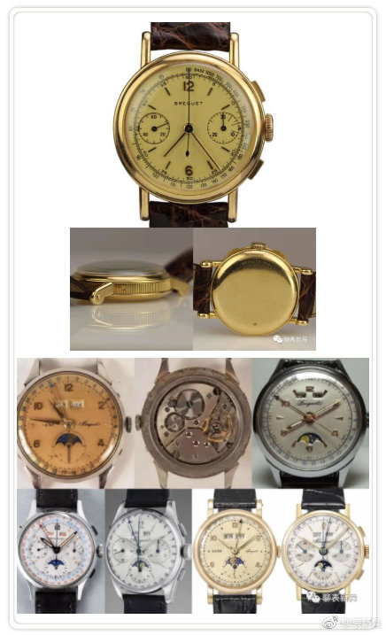 百里鸽是什么鸽,百里鸽是什么鸽图片