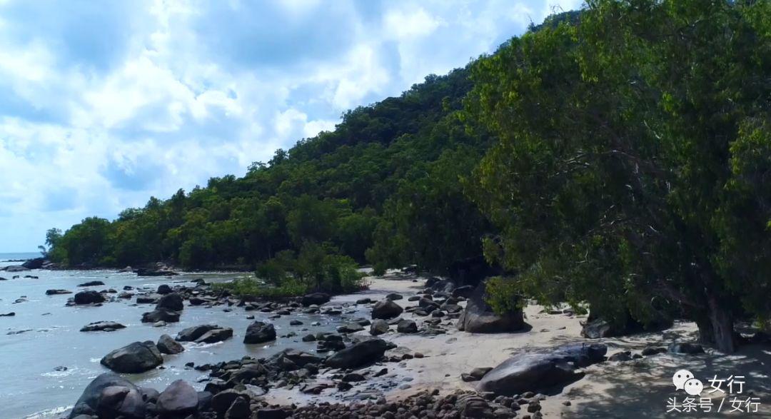 女行｜品尝活着的维生素C绿蚂蚁，半开发的现代土著人部落YARRABAH