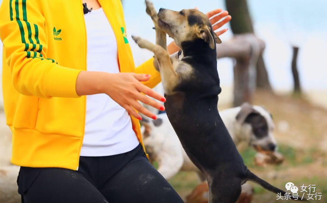 女行｜品尝活着的维生素C绿蚂蚁，半开发的现代土著人部落YARRABAH