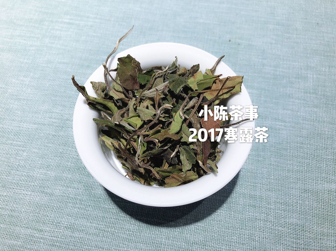 白茶最详细的解释是什么,白茶的品质与科学冲泡