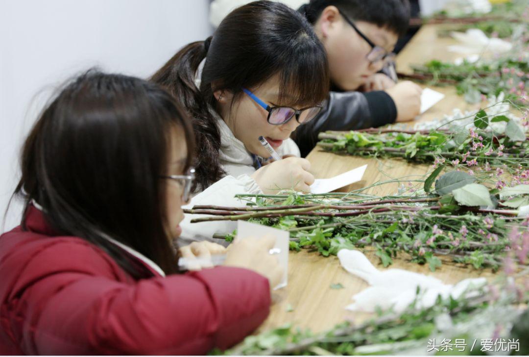 爱优尚垂丝茉莉,爱优尚垂丝茉莉四季开花