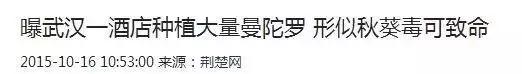 揪了把阳台种的“大蒜”做菜，母女俩呕吐不止！竟是因为……