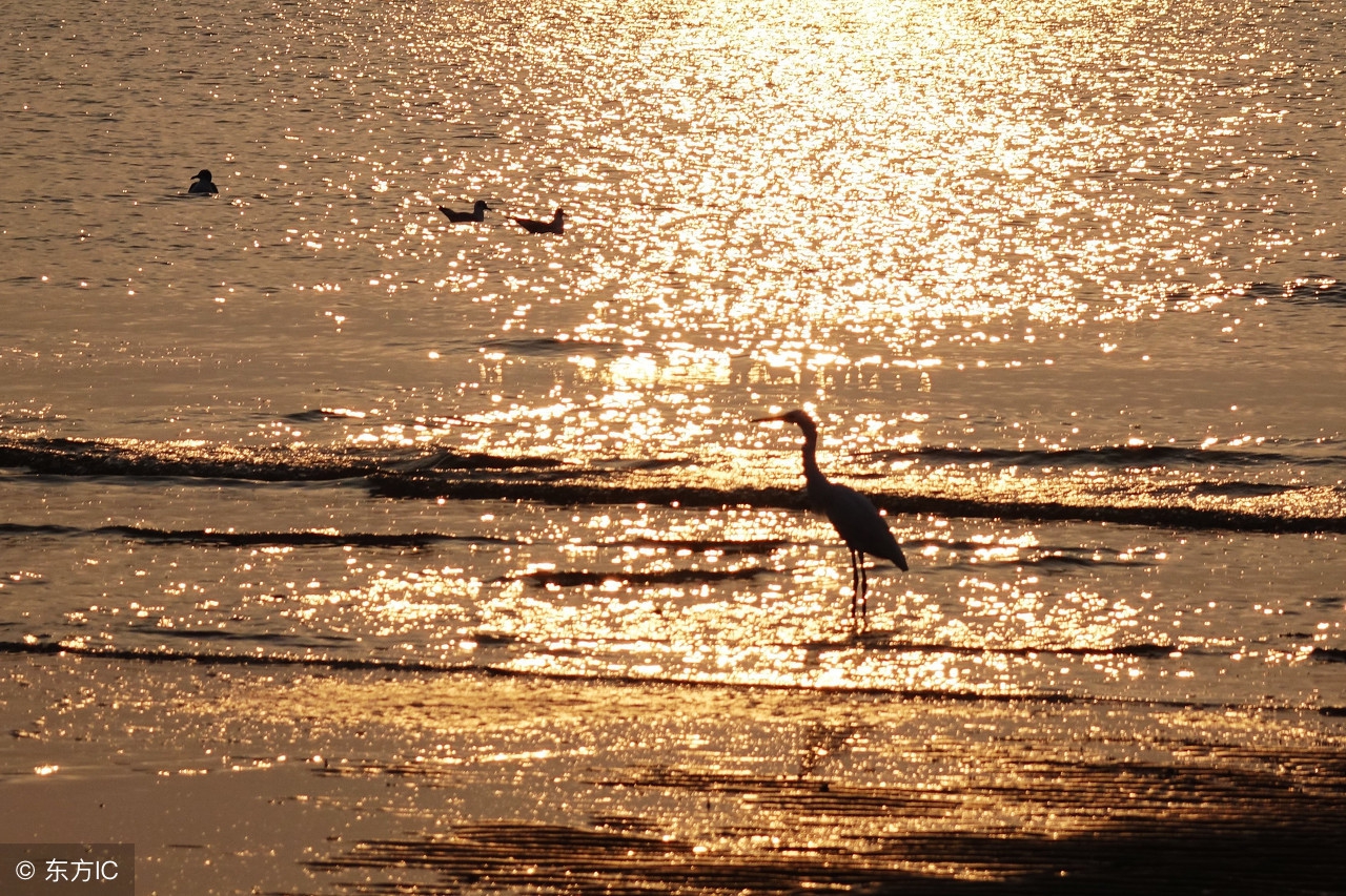 生于八零年代的我，有了被时光碾压的痛感