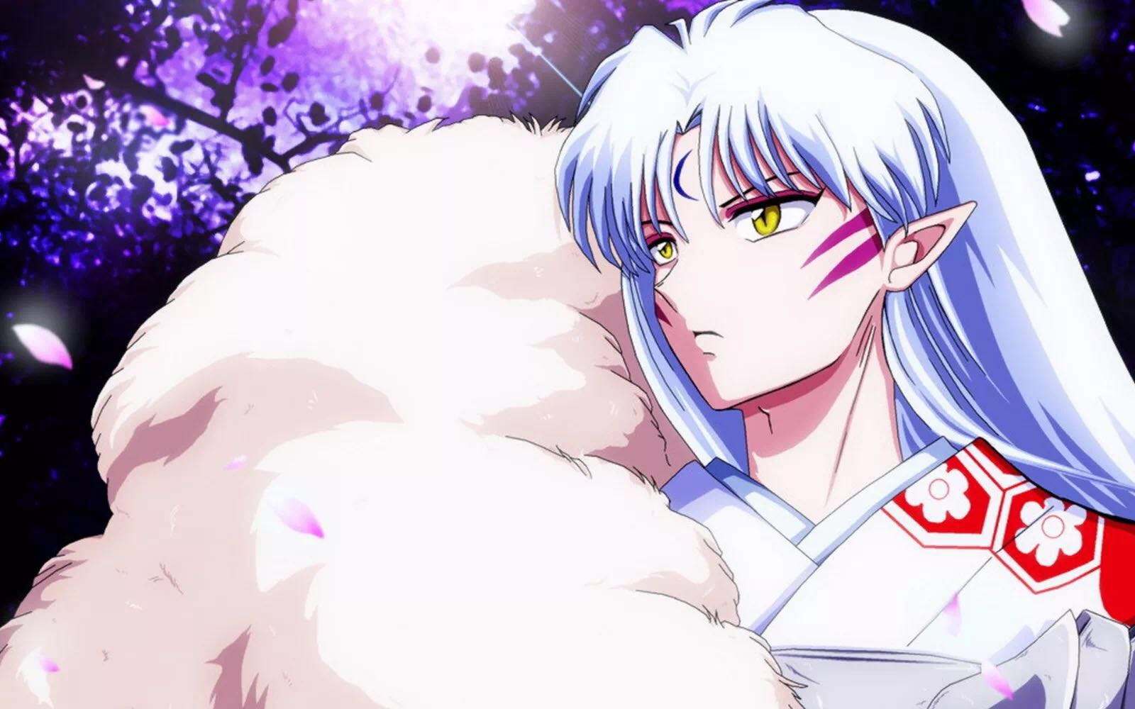 宅男最喜欢的动漫女人物,我最喜欢的几个动漫角色