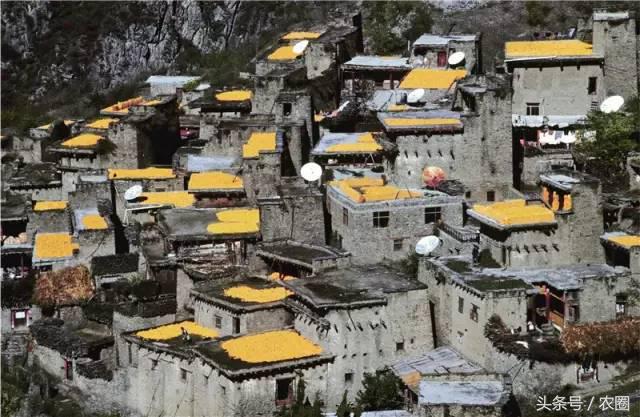 孕育了中华民族,孕育了什么样的文化