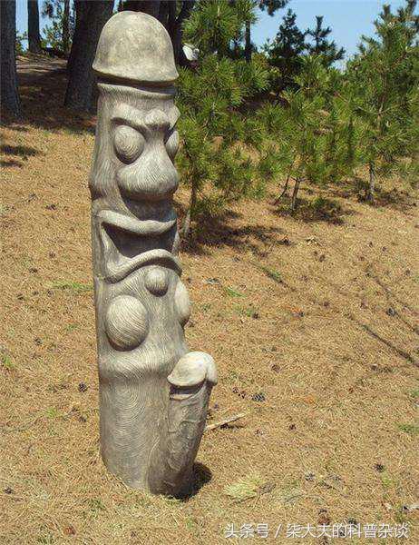 丁丁多大算正常？可以更大吗？它会断吗？你好奇的问题都在这里