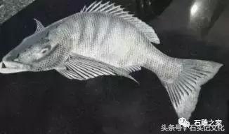 影雕雕刻工艺流程,影雕工艺流程详细讲解