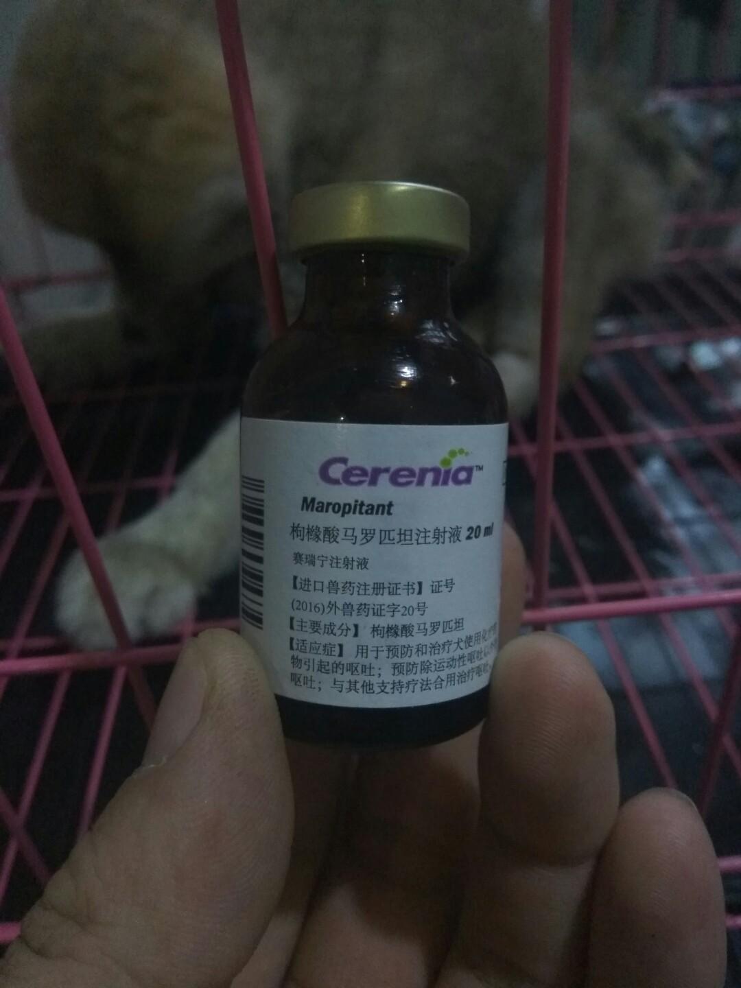 犬细小病毒的诊断与治疗论文,犬细小病毒单克隆抗体
