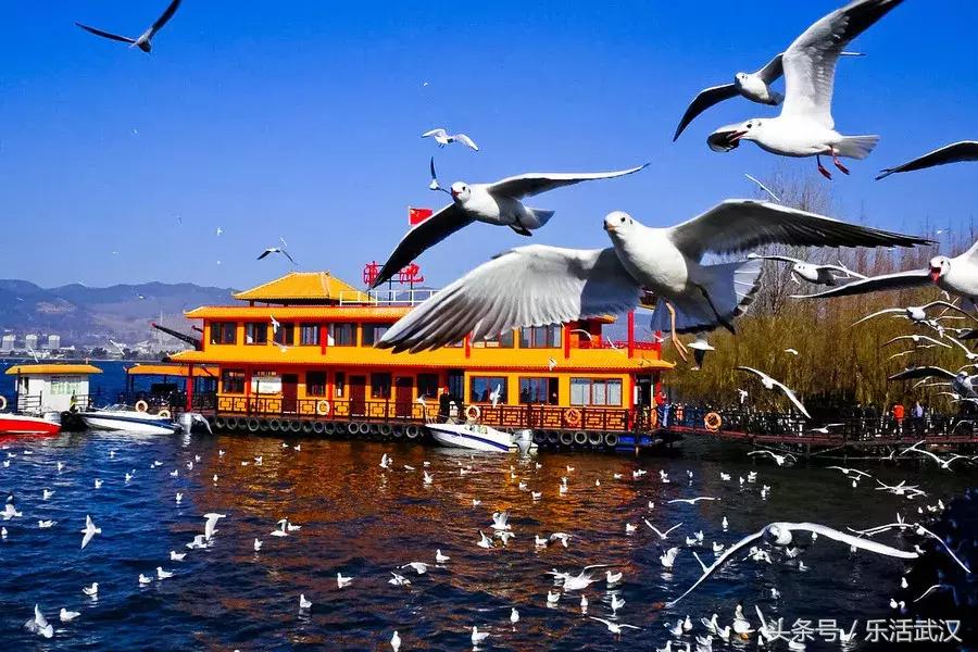 最近从武汉出发的特价机票,武汉旅游4天3晚团购价含机票