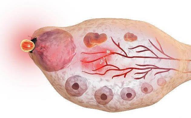 怎么样备孕能快速怀孕,如何备孕可以快速怀孕
