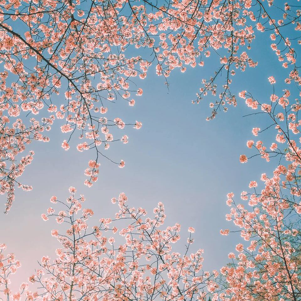 ai眼中的吉林师范大学,南方人在吉林师范大学