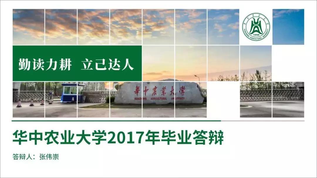 ppt中好看的表格设计,ppt里好看的表格设计