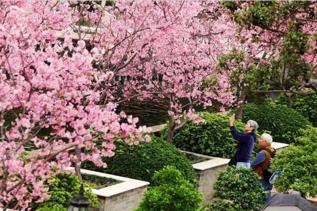 深圳2小时内周边自驾游,深圳爬山看海攻略旅游线路