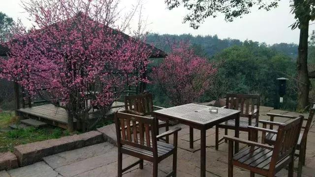 石象湖踏青,蒲江石象湖门票价格多少