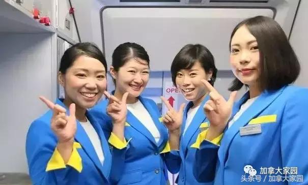 飞日本的航班有哪些,飞日本的货运航班