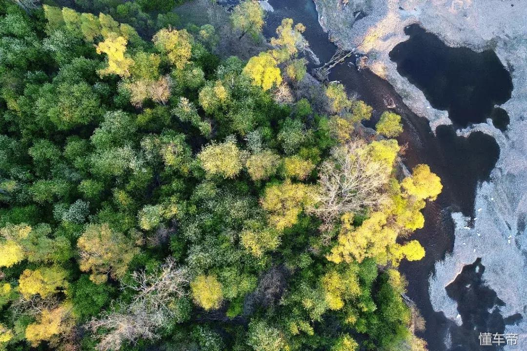 *光春**一泻千里，让你尽展笑颜