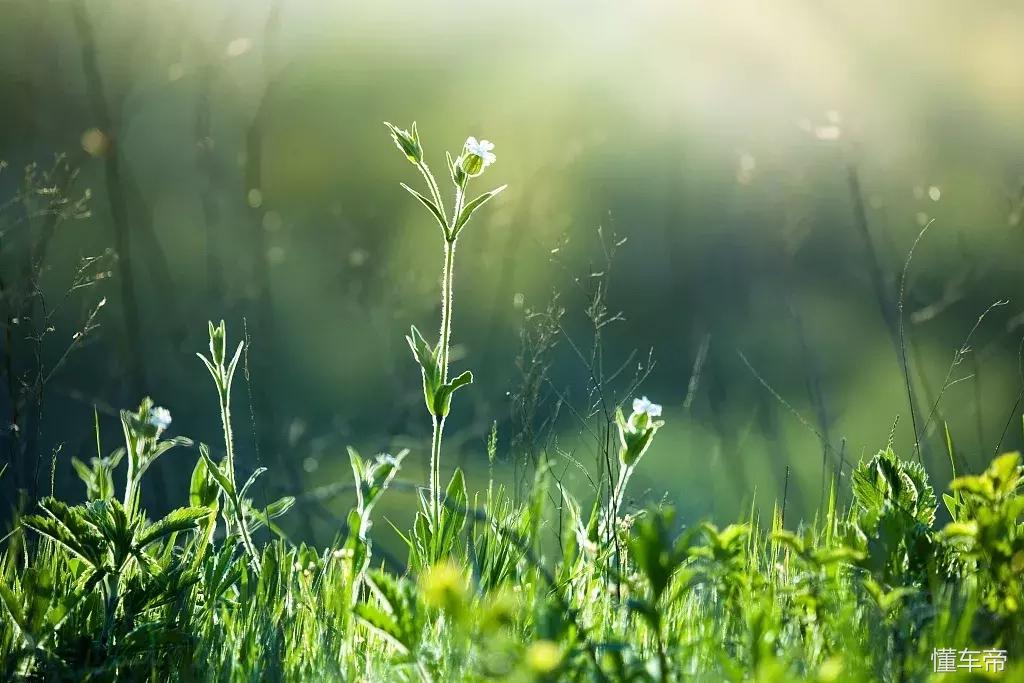 *光春**一泻千里，让你尽展笑颜