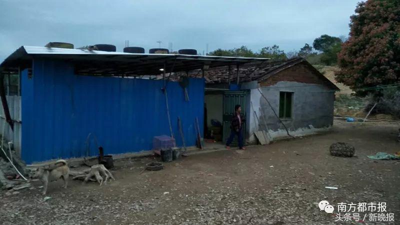 10岁女童踩到一颗钉子，最后竟要截肢保命！千万别忽视这些小伤