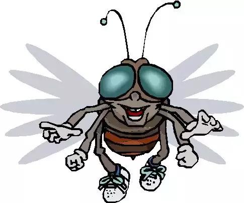 苍蝇的奇葩动作,奇葩宠物苍蝇