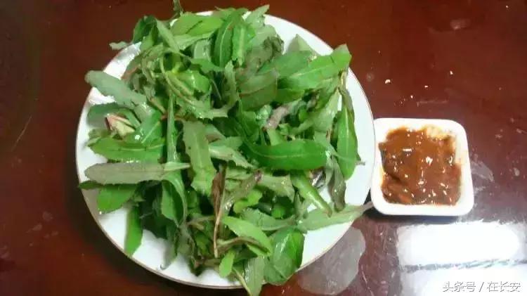 西安长安挖野菜最好的地方,长安哪里挖野菜好吃