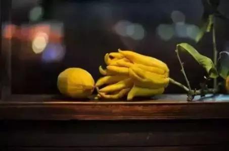 佛手室内熏香,佛手熏香怎么用