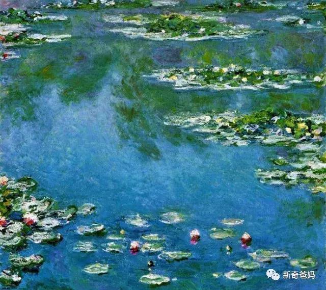 美学胎教03-《池塘.睡莲》