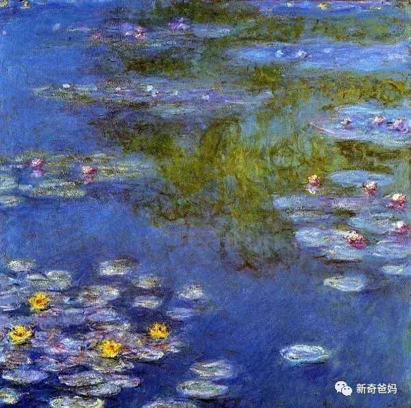 美学胎教03-《池塘.睡莲》