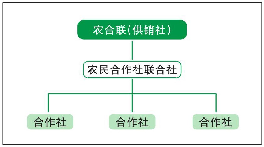 农业社会化服务如何运营,农合联的商业化运营模式
