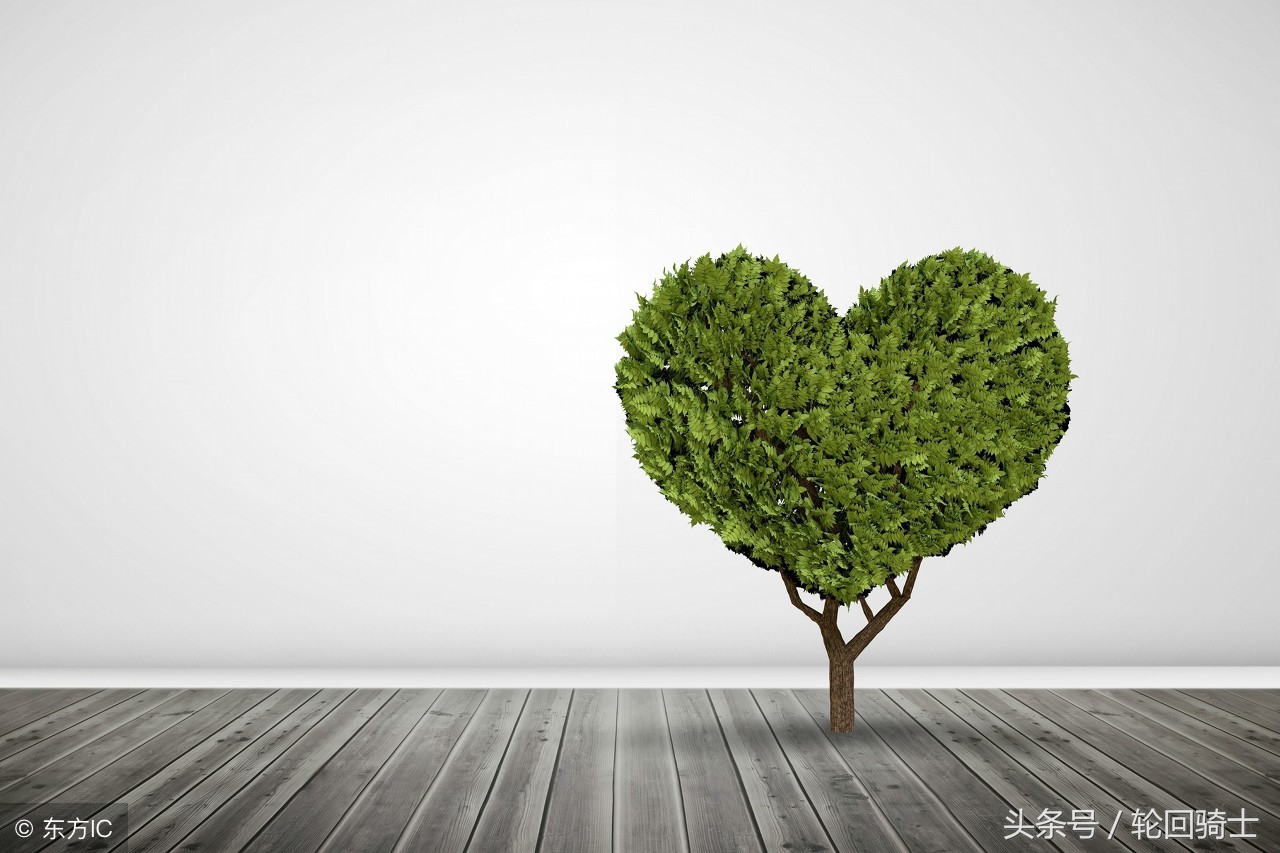 办公室风水简单易懂的招财法,办公室招财风水6大妙招