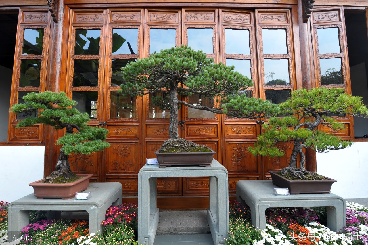 办公室风水简单易懂的招财法,办公室招财风水6大妙招