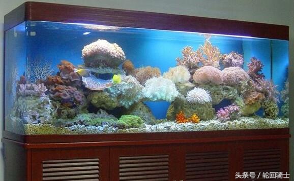 办公室风水简单易懂的招财法,办公室招财风水6大妙招