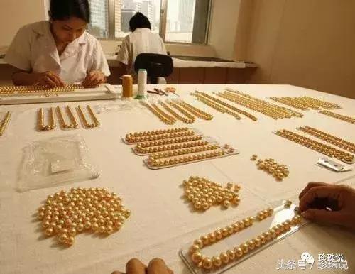 珍珠养殖全过程,养殖珍珠蚌技术